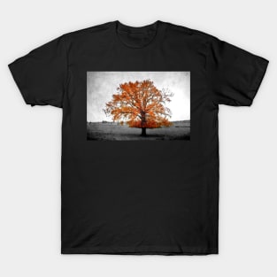 A Tree in Autumn T-Shirt